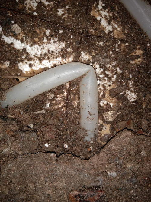 双河堵点精准查找